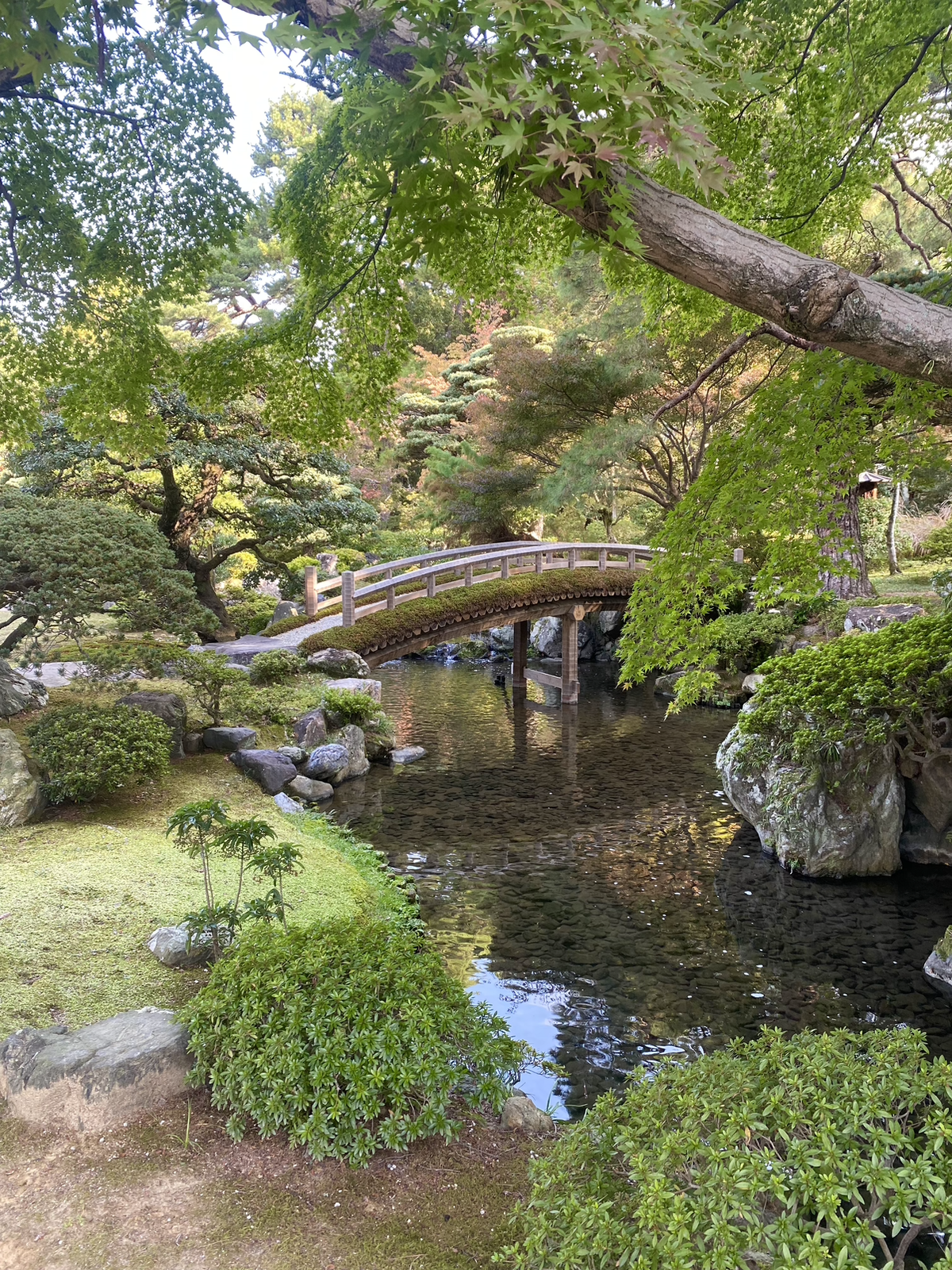 Oji, Japon
